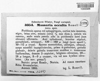 Image Associated With the Occurrence